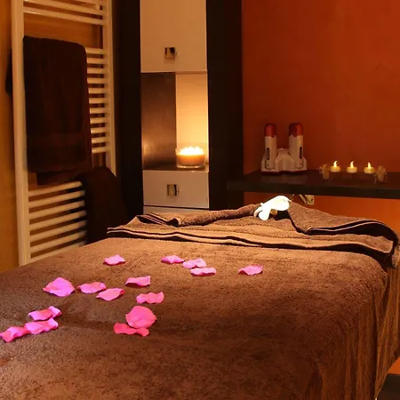 Отель Chateau De La Dame Blanche - Logis 4*